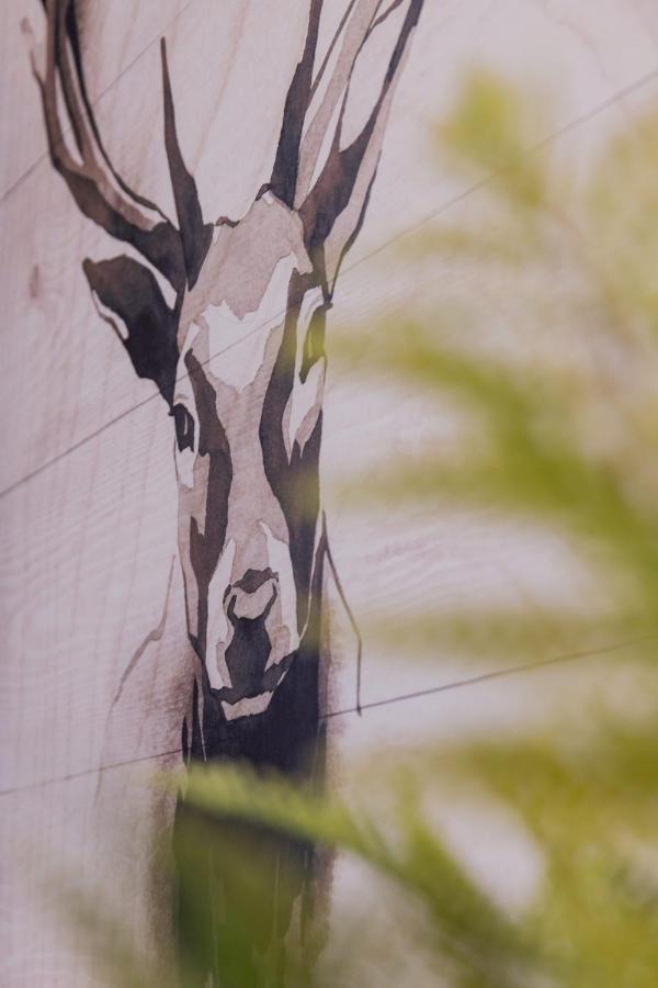 Nordic Style - 5 Min Dall'Arena & Parcheggio Verona Exterior photo